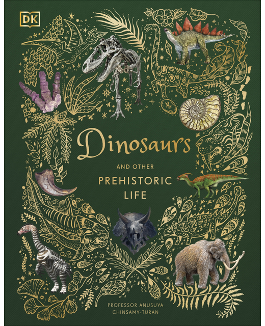 DINOSAURS AND OTHER HISTORICAL LIFE