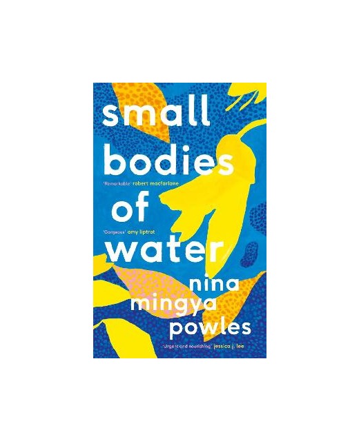 SMALL BODIES OF WATER