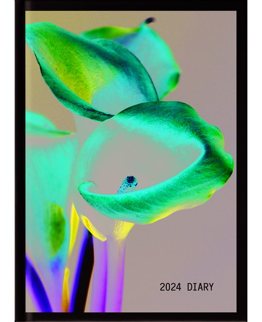 DIARY 2024 Collins A51 Floral Day to Page Diary Even Year