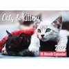 Calendar 2022 Biscay 16 Month Cats and Kittens