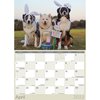 Calendar 2022 Biscay 16 Month Calendar Dogs & Puppies 