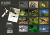 Calendar 22 340x242mm NZ Wildlife