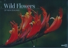 Calendar 22 340x242mm New Zealand Wildflowers