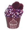 Socks Cupcake - Raspberry Swirl