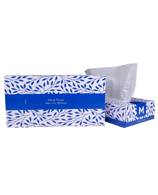 TISSUES FACIAL WHITE 2 PLY 100 SHEET BOX