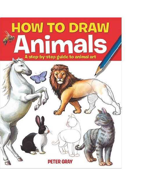 HOW TO DRAW ANIMALS STEP BY STEP GUIDE 