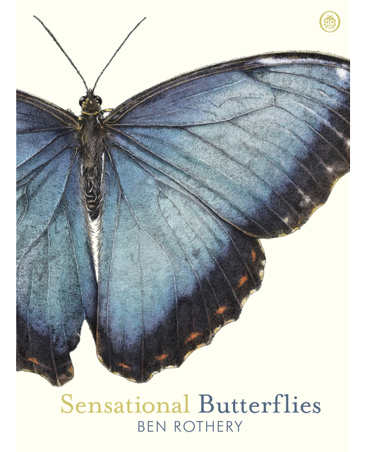 Sensational Butterflies