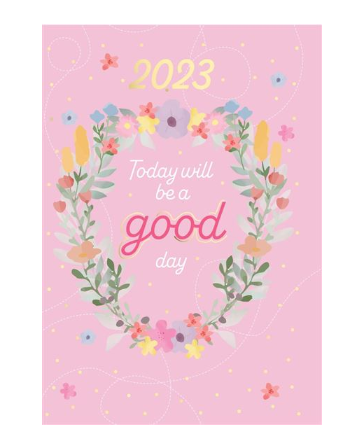 2023 DIARY TODAY WILL BE A GOOD DAY VIEW TO VIEW 