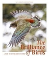 THE BRILLANCE OF BIRDS