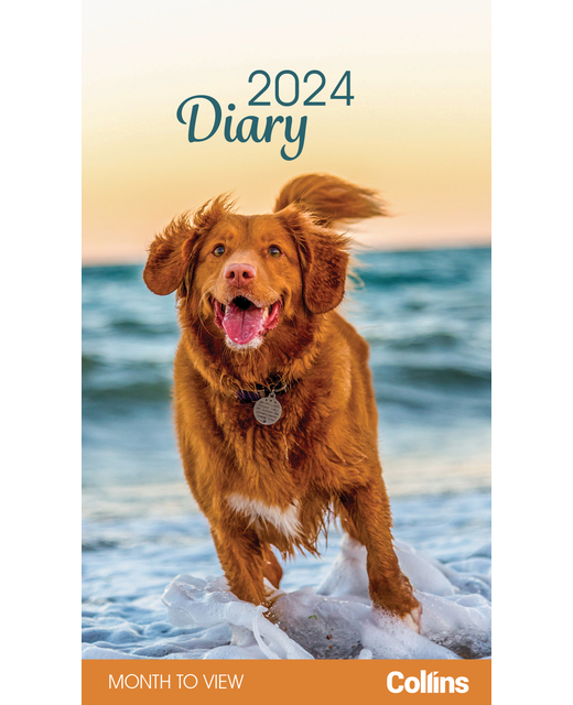 DIARY 2024 Collins Rosebank Diary Dogs & Puppies Month to View Even Year