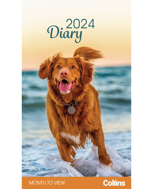 DIARY 2024 Collins Rosebank Diary Dogs & Puppies Month to View Even Year