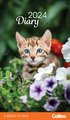 Collins Rosebank Diary Cats & Kittens 2 Weeks to View Even Year