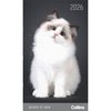 Collins Diary Slim Cats & Kittens Month to View 2026