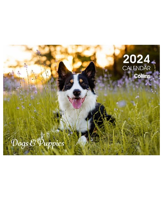 Collins Rosebank Wall Calendar A4 Dogs & Puppies Even Year