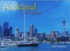 CALENDAR 2024 BIG PRINT AUCKLAND