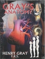 GRAY'S ANATOMY