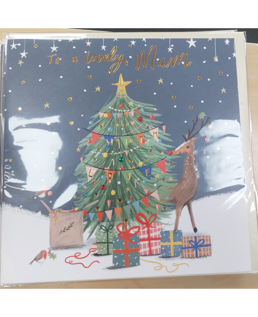 XMAS CARDS FAMILY $6.99