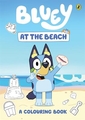 BLUEY AT THE BEACH