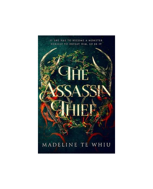 THE ASSASSIN THIEF