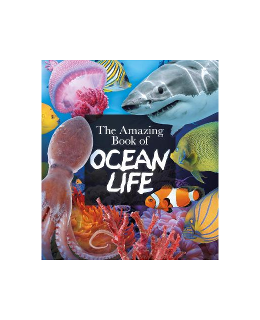 THE AMAZING BOOK OF OCEAN LIFE
