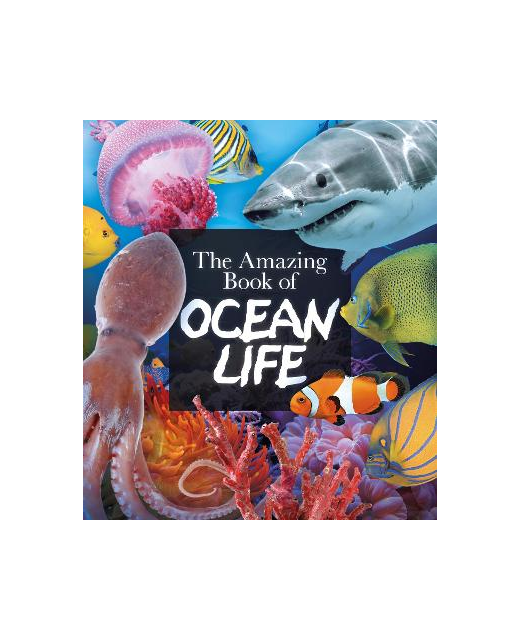 THE AMAZING BOOK OF OCEAN LIFE