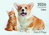 WALL CALENDAR 2026 COLLINS A4 CATS & KITTENS