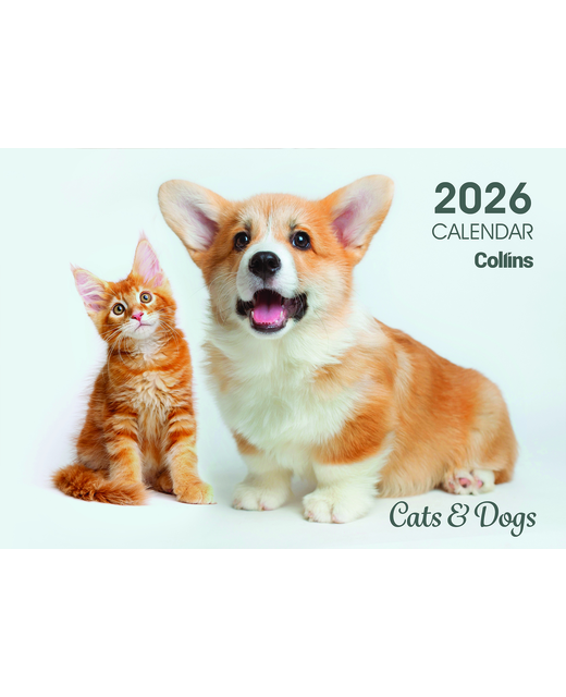 WALL CALENDAR 2026 COLLINS A4 CATS & KITTENS