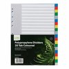 ICON PP DIVIDERS EXTRA WIDE 20 TAB COLOURED