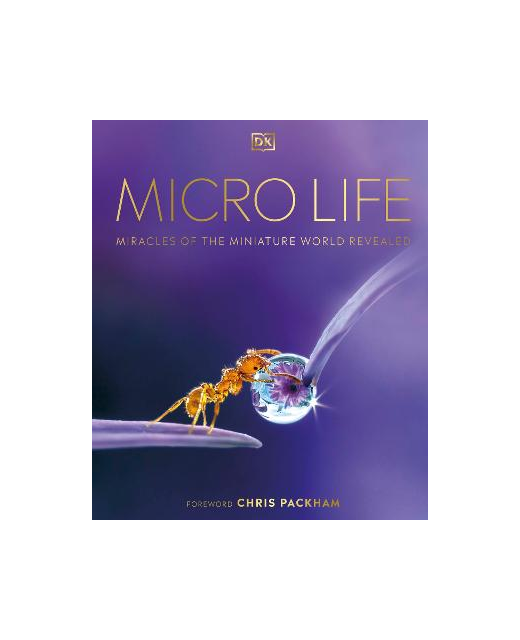 MICRO LIFE