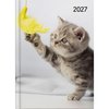 DIARY 2027 COLLINS A51 DTP CATS AND DOGS