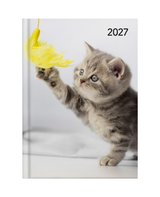 DIARY 2027 COLLINS A51 DTP CATS AND DOGS