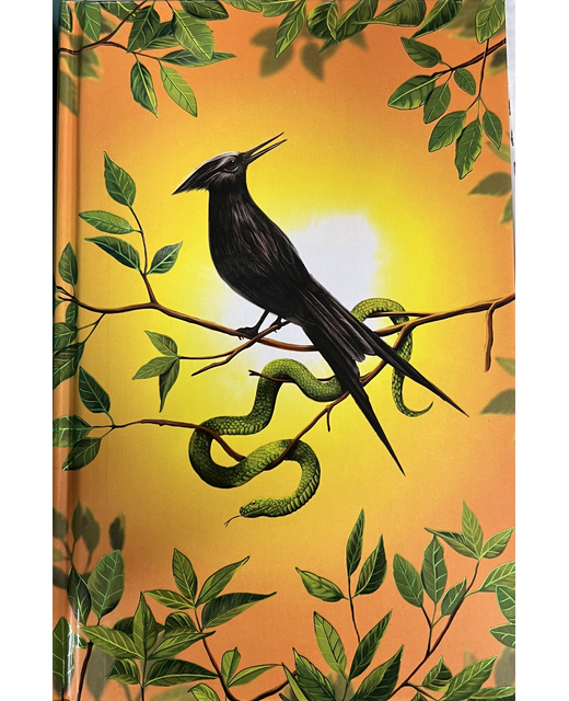 THE BALLAD OF SONGBIRDS AND SNAKES