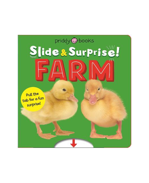  SLIDE AND SURPRISE FARM