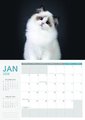 WALL CALENDAR 2026 COLLINS A4 CATS & KITTENS