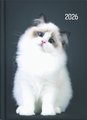 DIARY 2026 Collins A51 Cats & Dogs Day to Page Diary Even Year