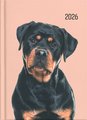 DIARY 2026 Collins A51 Cats & Dogs Day to Page Diary Even Year