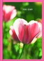 DIARY 2026 Collins Diary A61 Floral Even Year