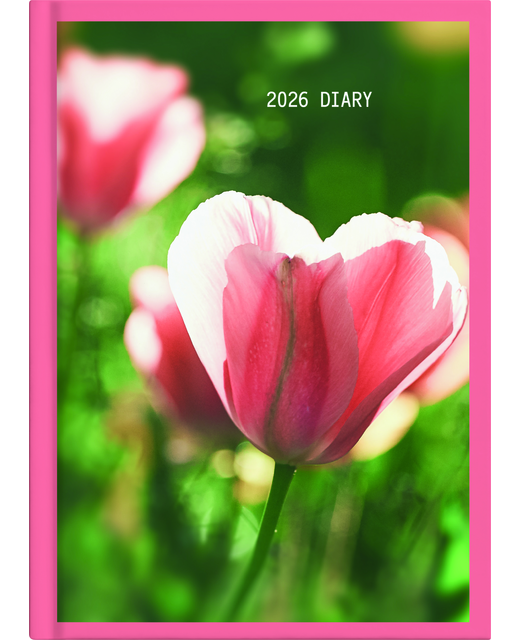 DIARY 2026 Collins Diary A61 Floral Even Year