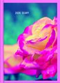 DIARY 2026 Collins Diary A61 Floral Even Year