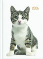DIARY 2026 Collins Diary A53 Cats & Dogs Even Year