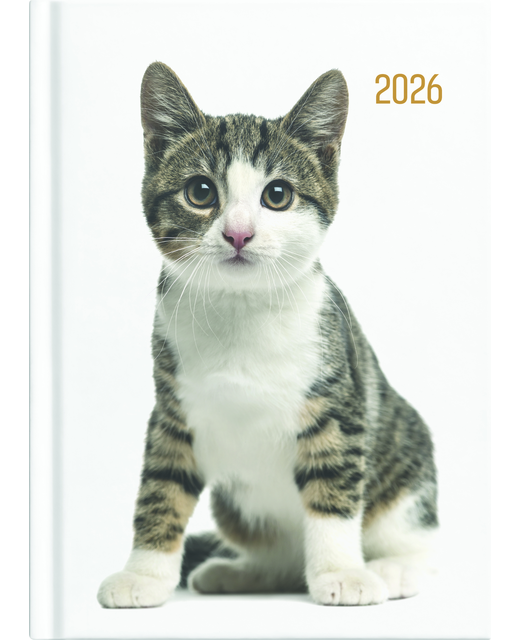 DIARY 2026 Collins Diary A53 Cats & Dogs Even Year
