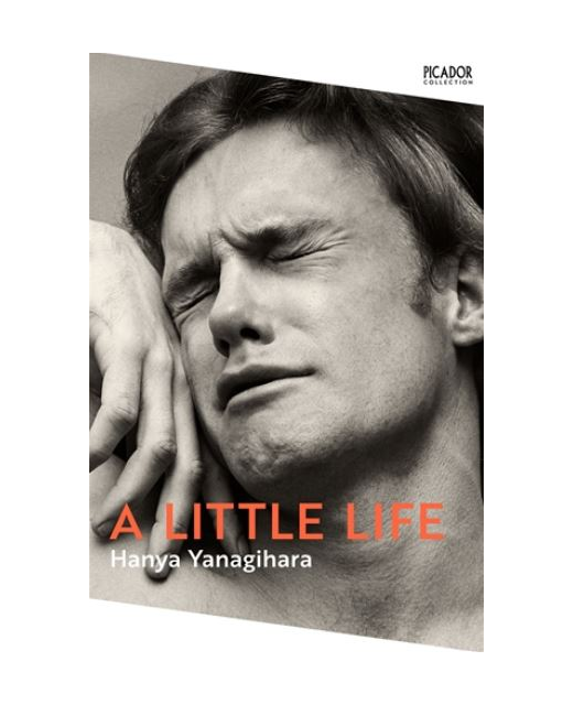 A LITTLE LIFE