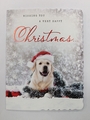 CLASSIC CHRISTMAS CARD DOG