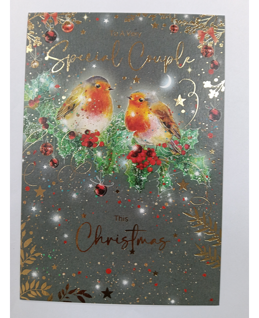 FAMILY CHRISTMAS CARD COUPLE