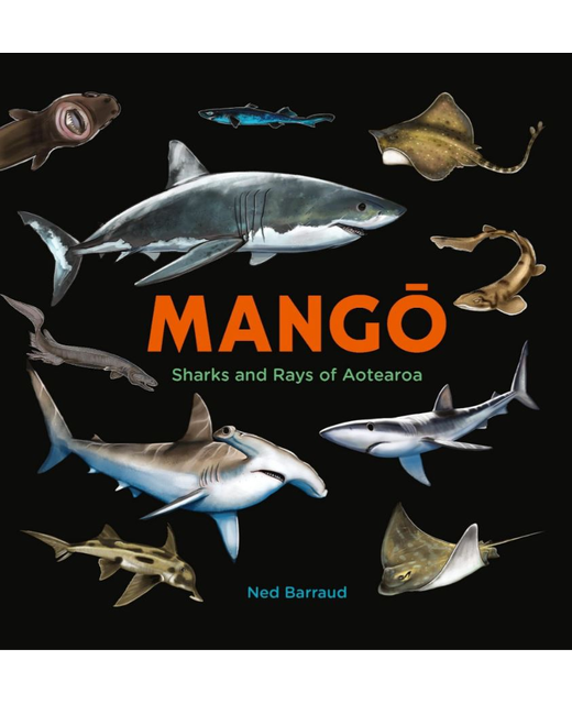 MANGO - SHARKS AND RAYS OF AOTEAROA 