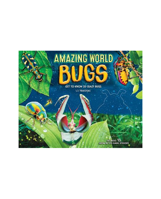AMAZING WORLD BUGS