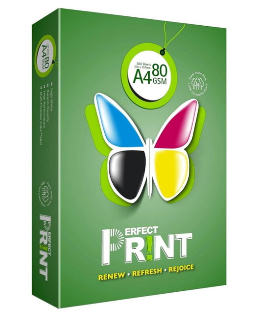 COPY PAPER PERFECT PRINT A4 80GSM 500PK REAM
