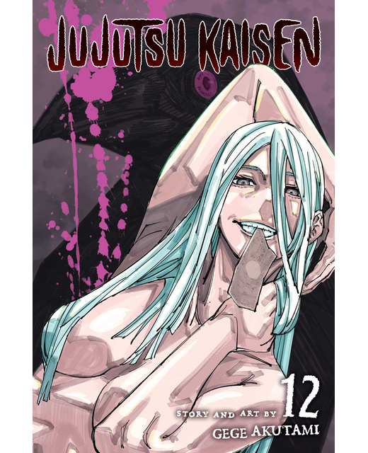 Jujutsu Kaisen Vol 12