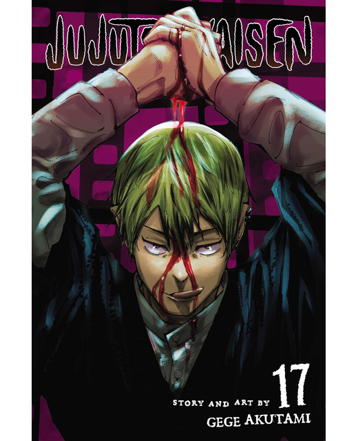 Jujutsu Kaisen Vol 17