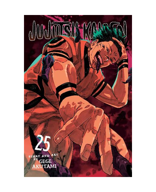 Jujutsu Kaisen Vol. 25
